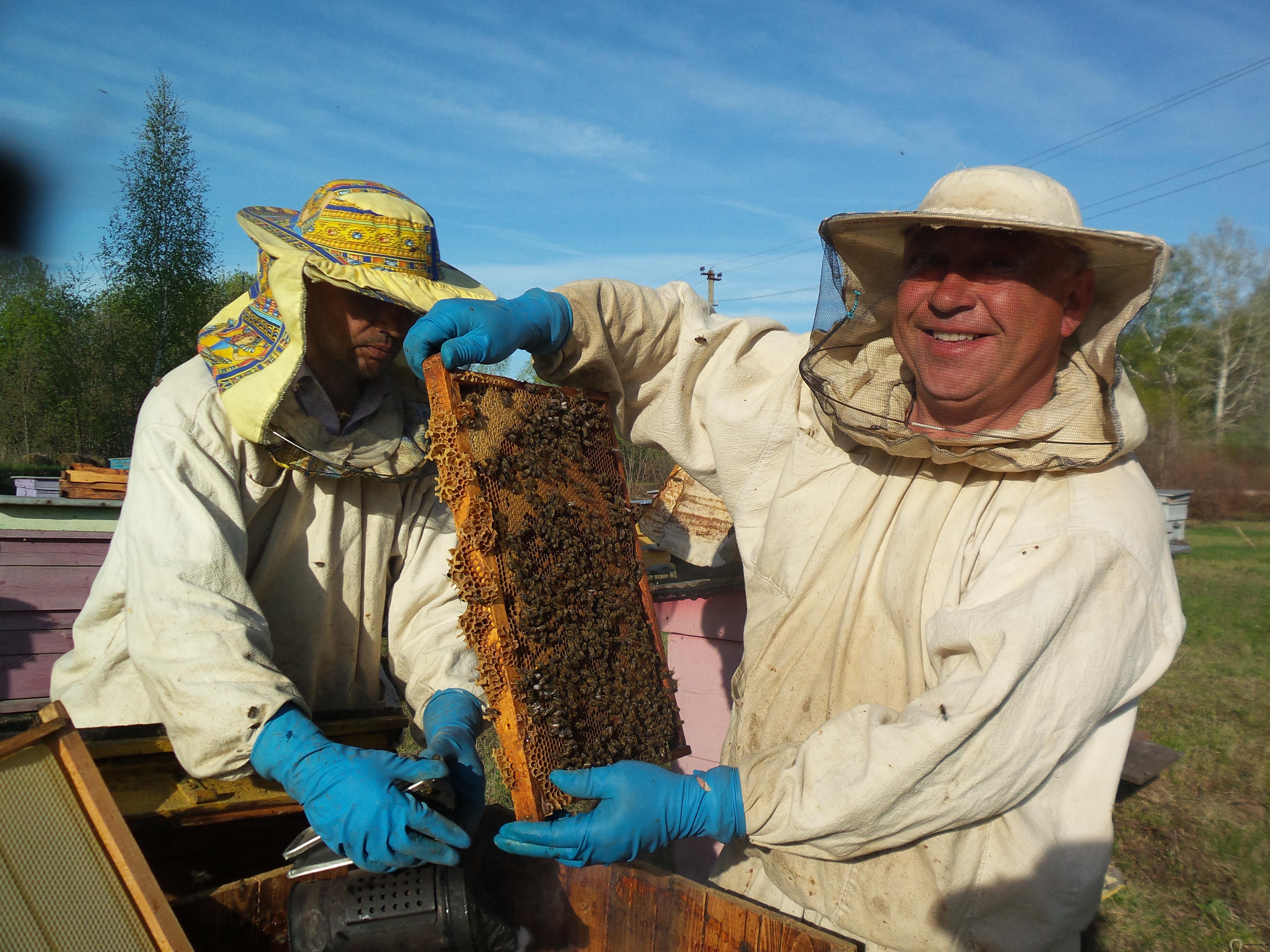Мед и пчёлопродукты 